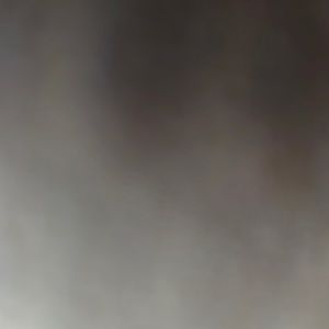 Meet your Posher, Ella